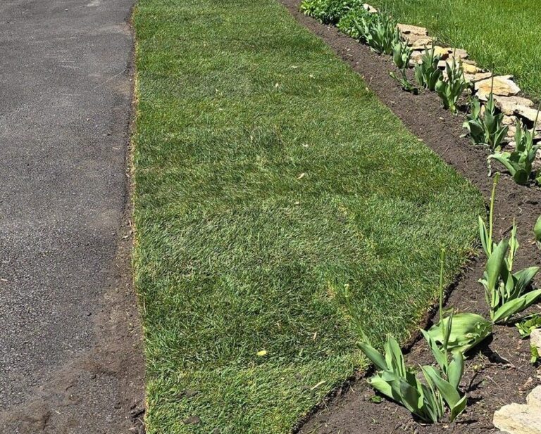 lawn area with fresh sod horizon land and hardscape