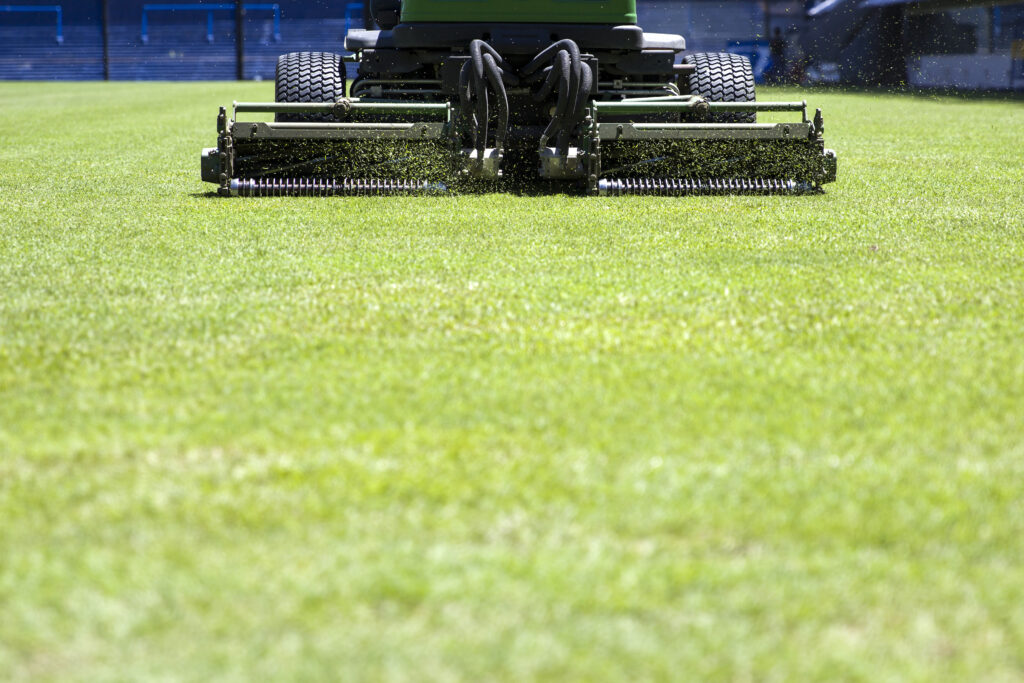 Lawn Aeration