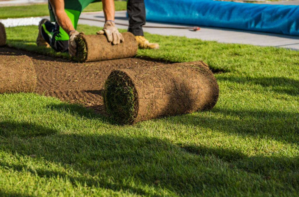 sod installation