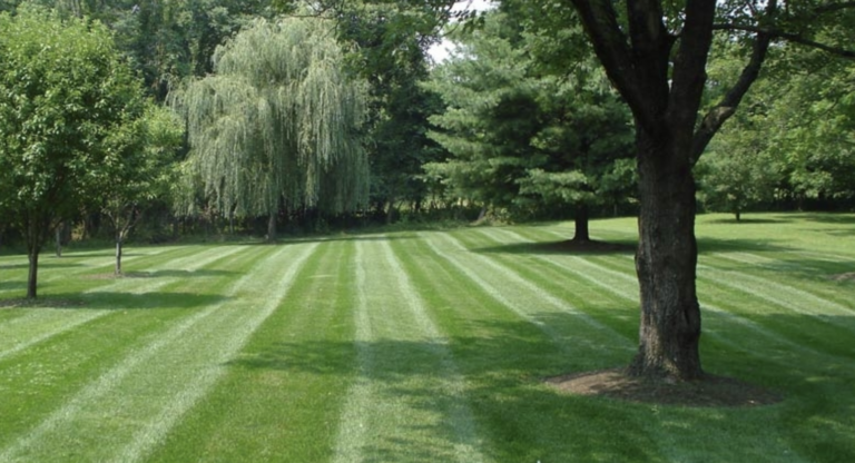 Lawn Stripes Horizon Land and Hardscape Oak Lawn Illinois